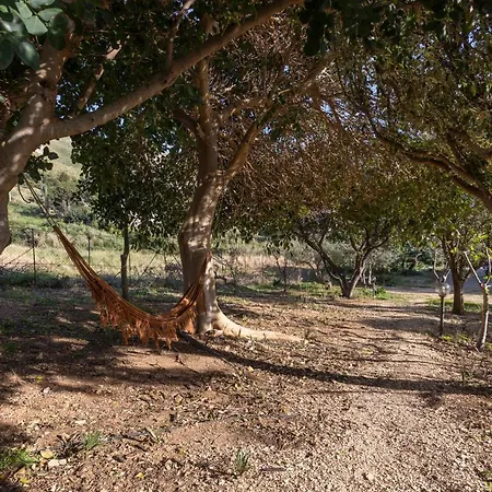 Tatil Evi Pittalumari Makari Macari